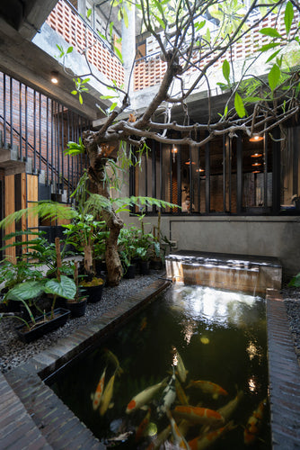 Biofiliczne wnętrza dookoła świata: Andyrahman Architect Biophilic Office