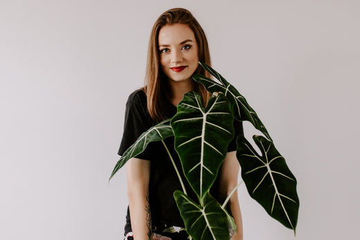 #plantpeople: stacja plantacja