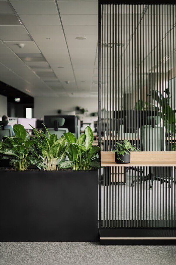 Aranżacja roślin w biurze Ingage we Wrocławiu