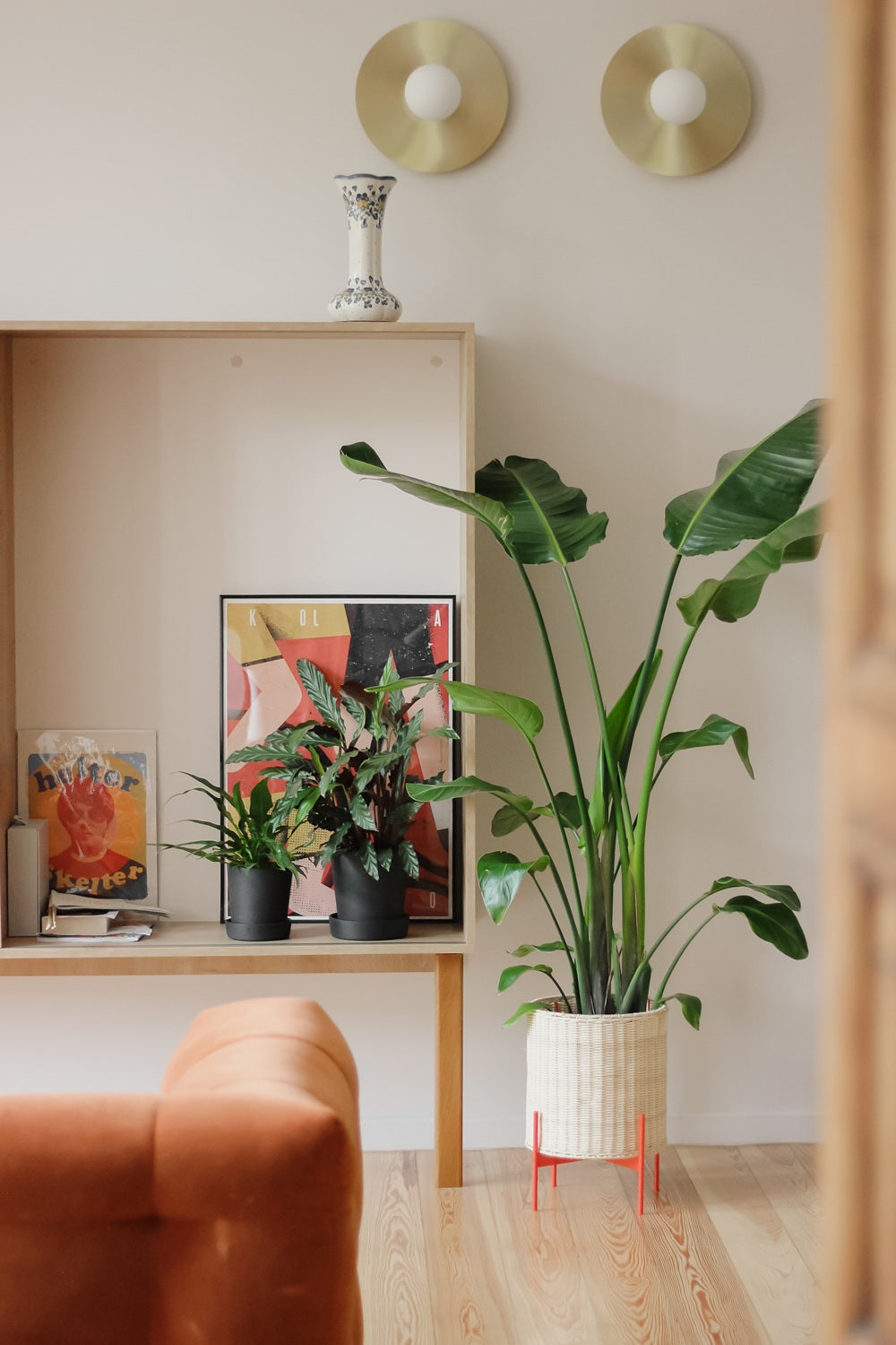 Biofilia w domowym wnętrzu