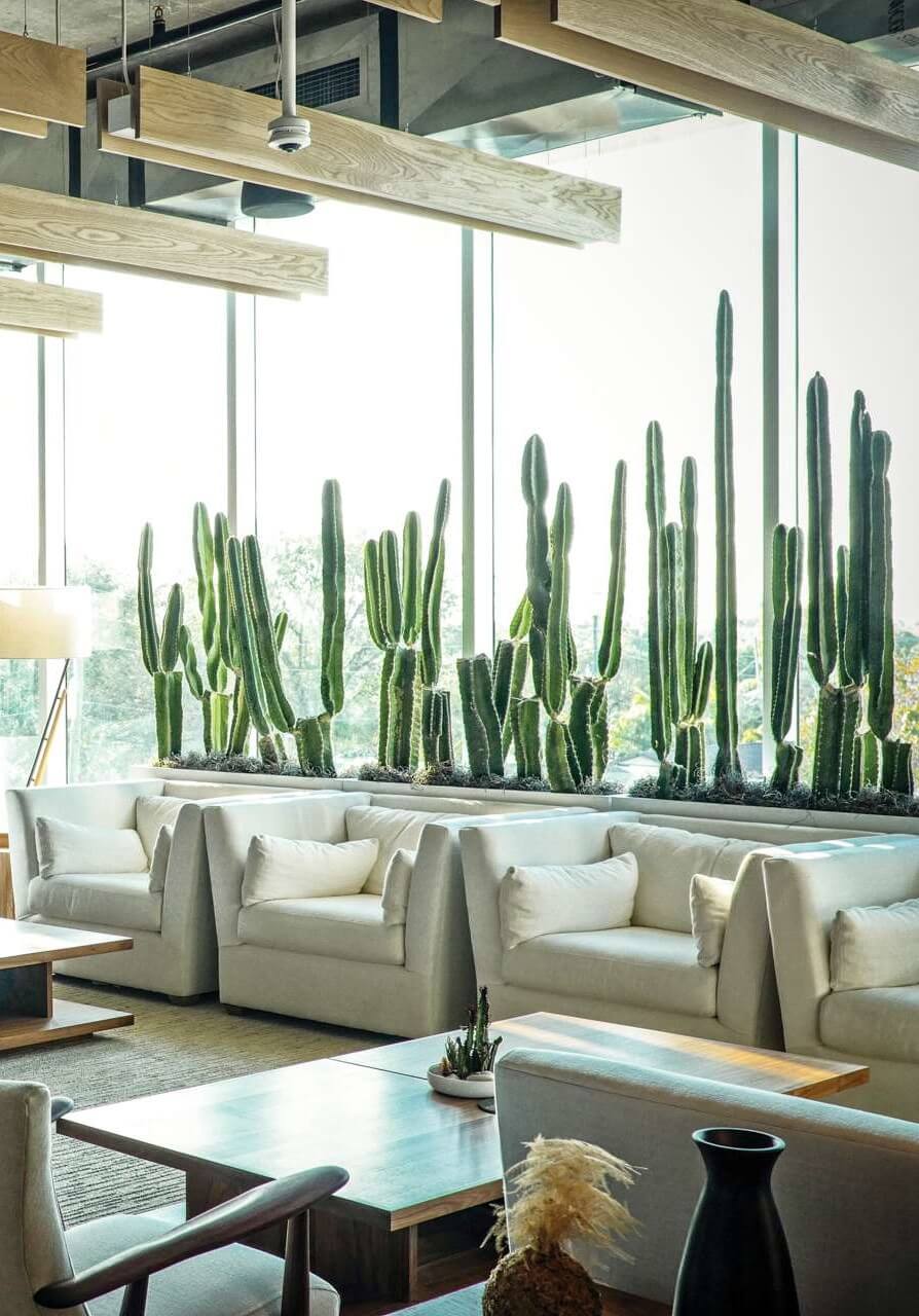 Biofiliczne wnętrza dookoła świata - Venture X, Floryda