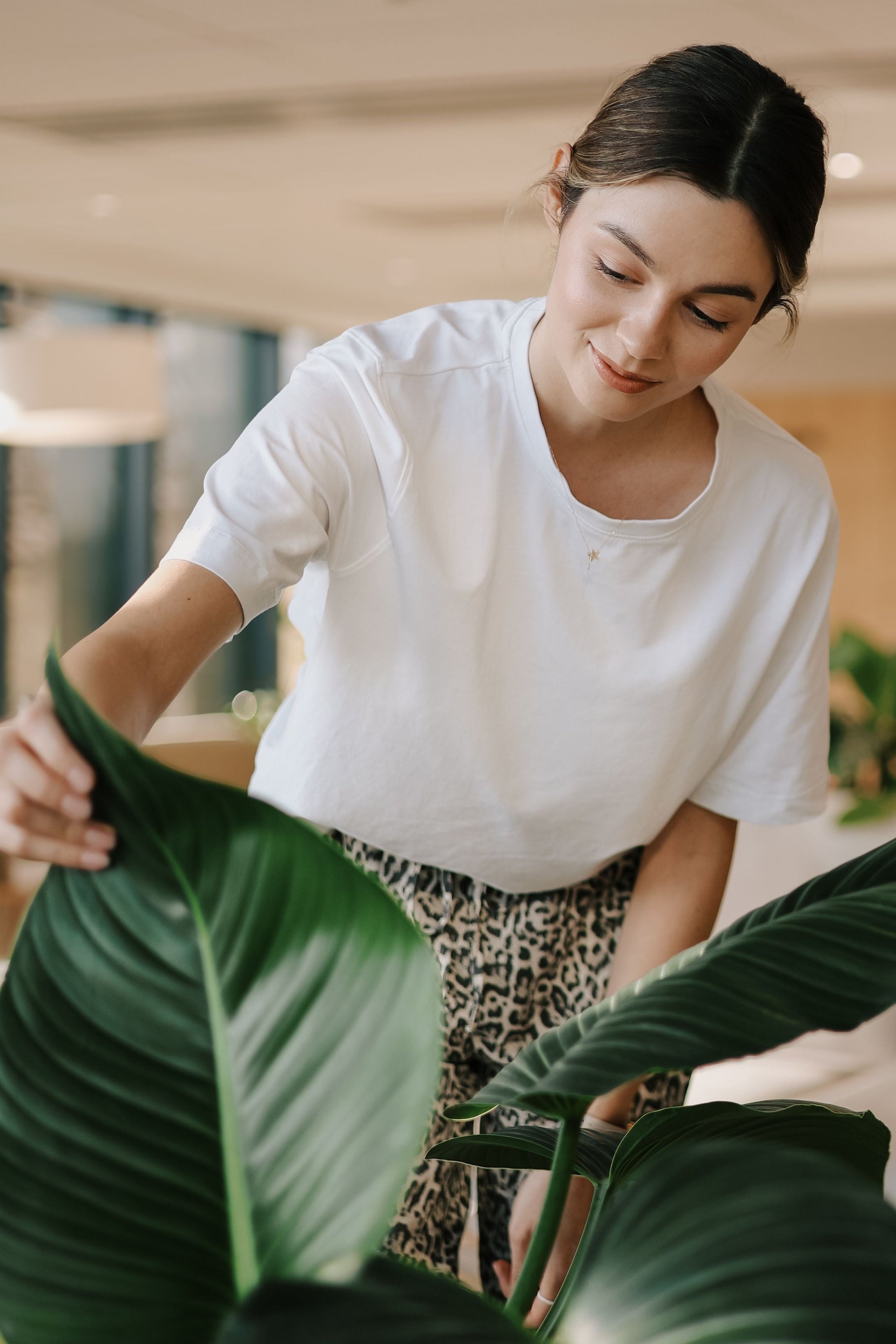 Zieleń na lato czy na lata? 8 błędów w pielęgnacji roślin w upalne dni