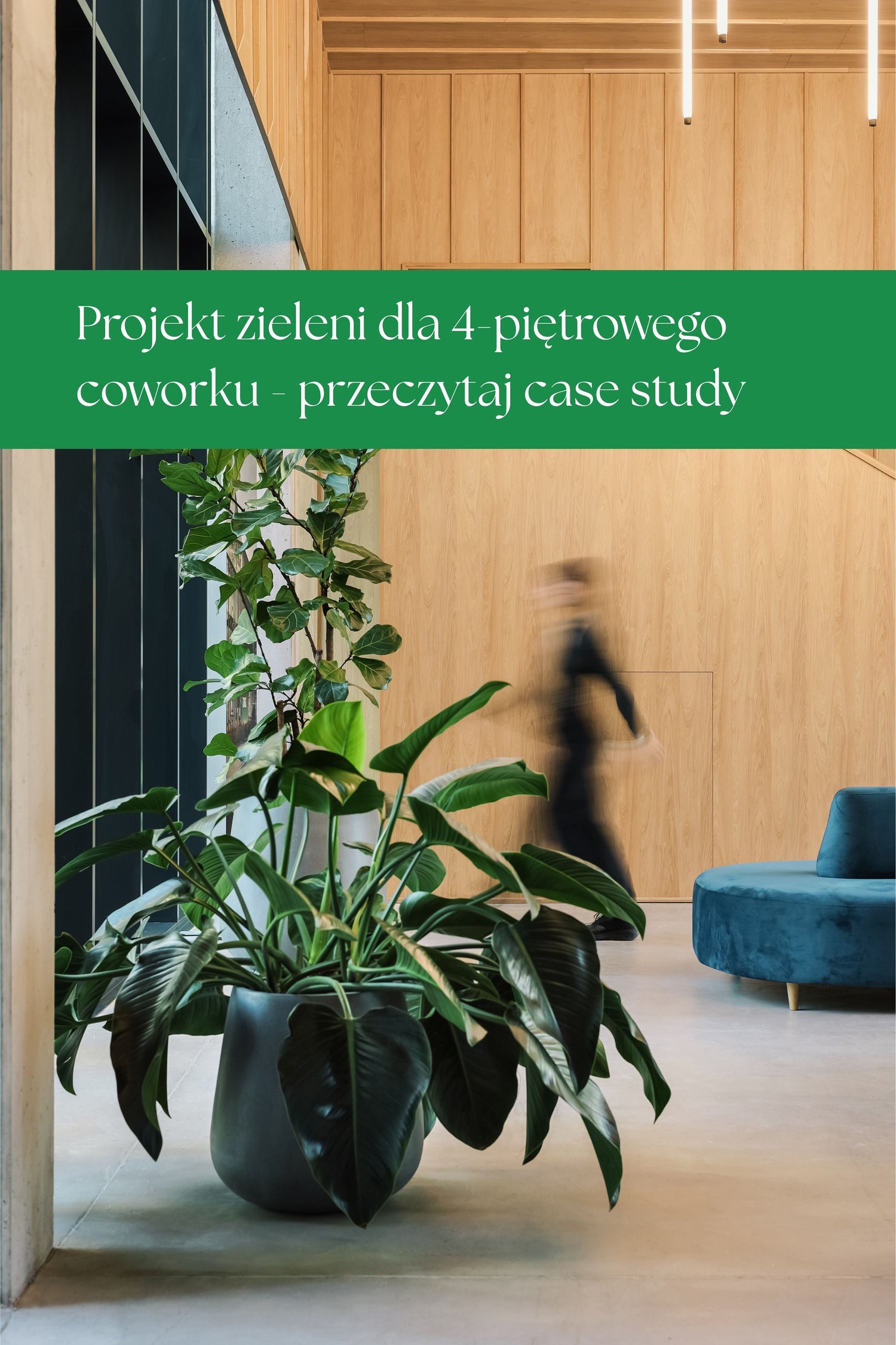Case study: od lobby po open space, czyli kompleksowa aranżacja zieleni dla Dolnośląskiej Agencji Współpracy Gospodarczej