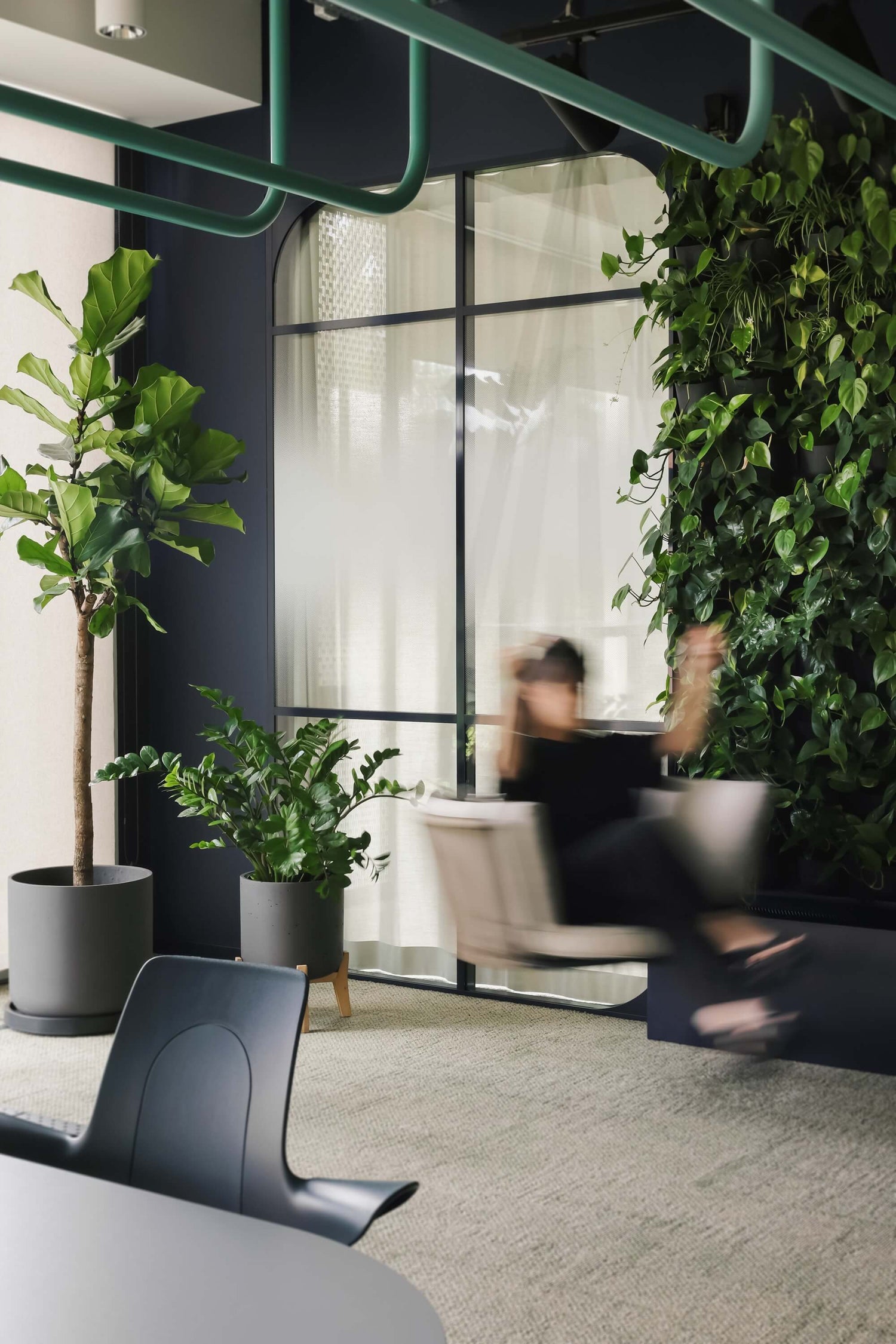 Case study: 900 roślin, 3 dni, 1 zielona transformacja