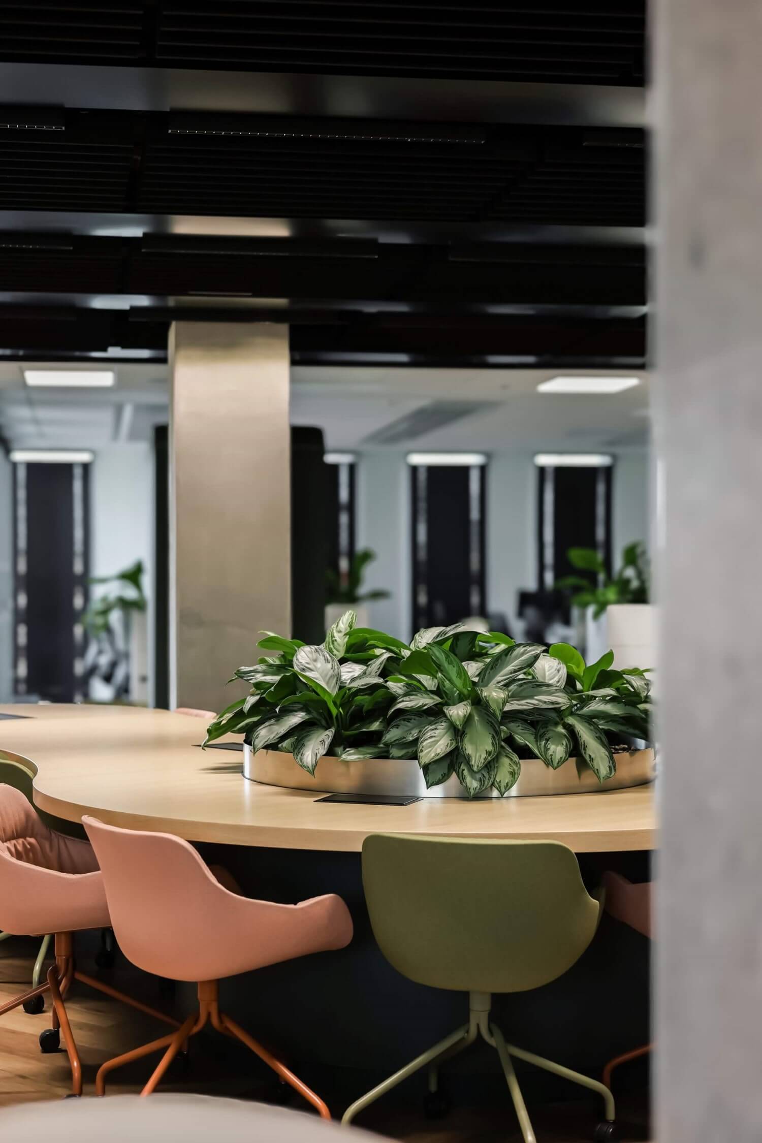 Case study: 13 zielonych pięter według standardu WELL