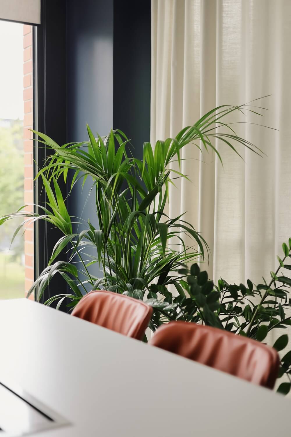 Rośliny w zacienionym biurze