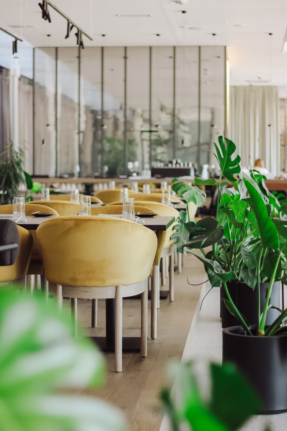 Aranżacja roślin w kawiarni