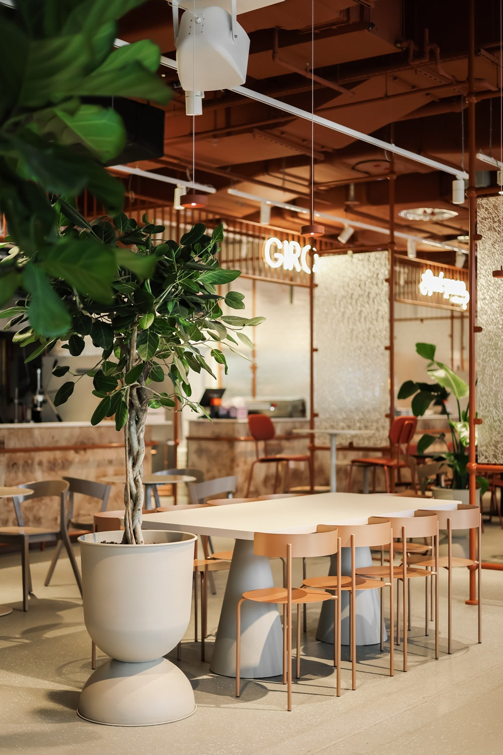 Aranżacja roślin w restauracji