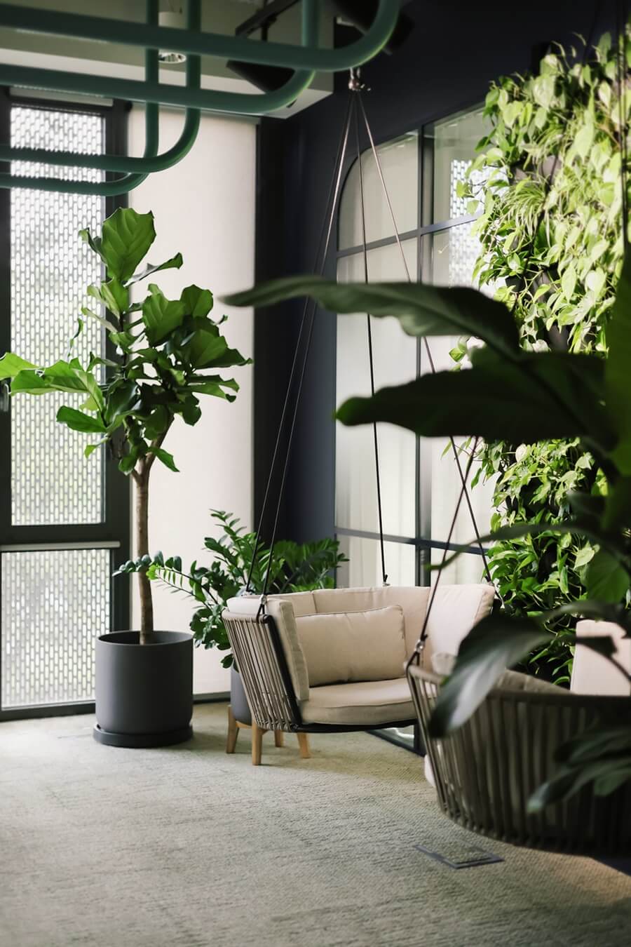 Rośliny w biurze - biofiliczny design