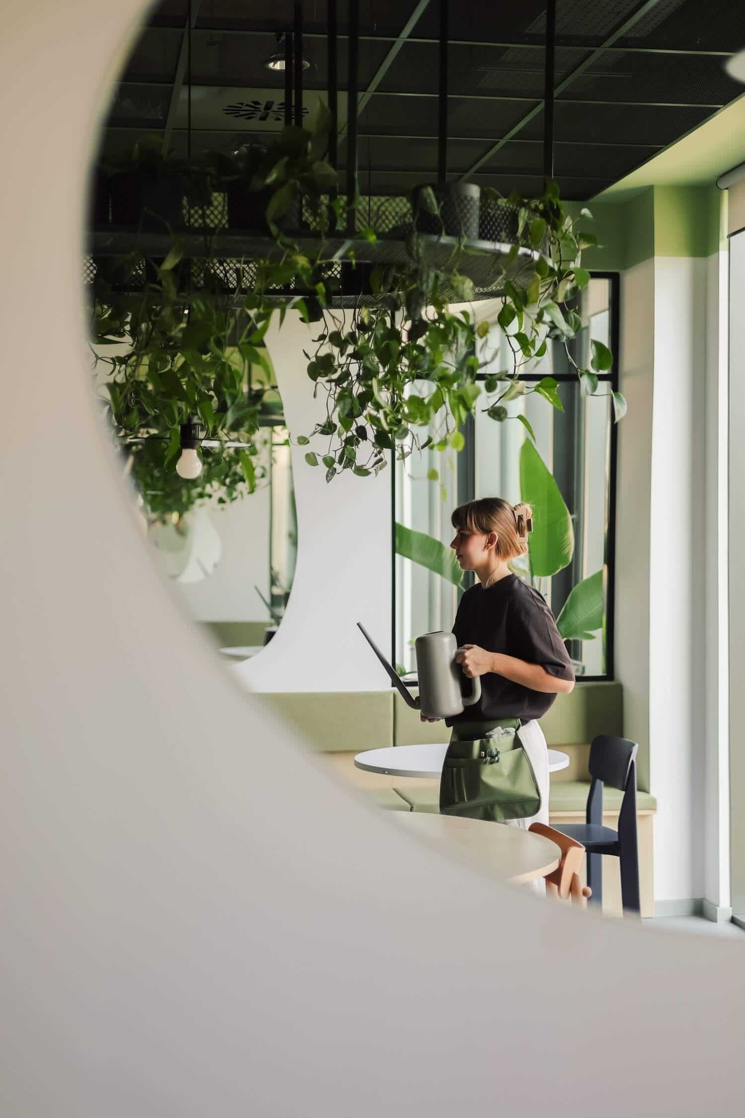 Serwis roślin w biurze