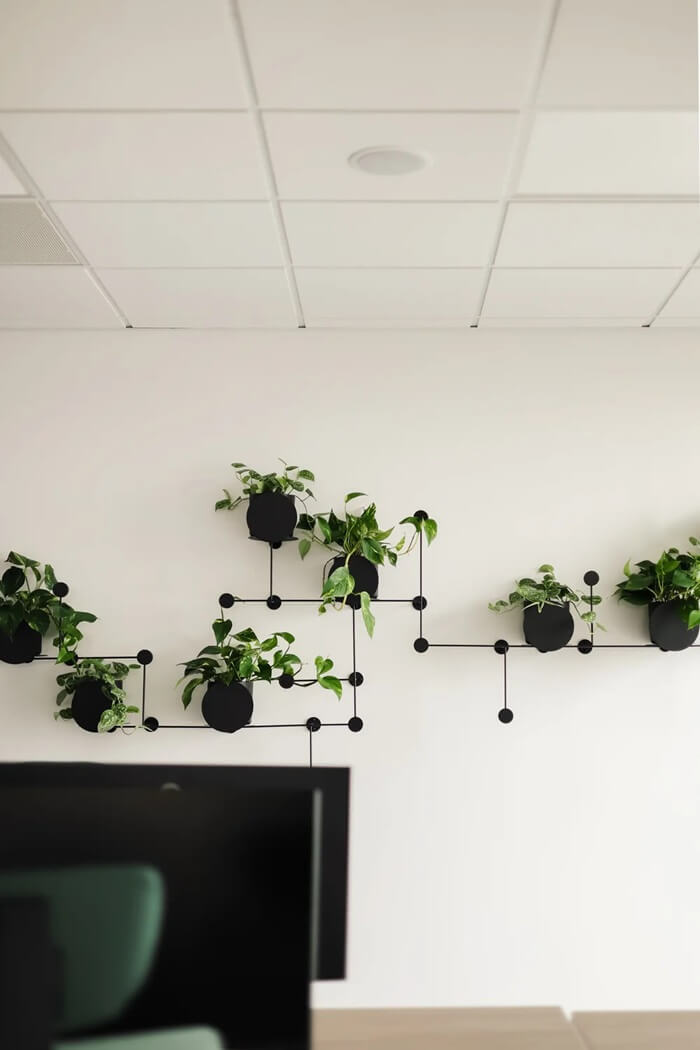 Roślinna instalacja na ścianie