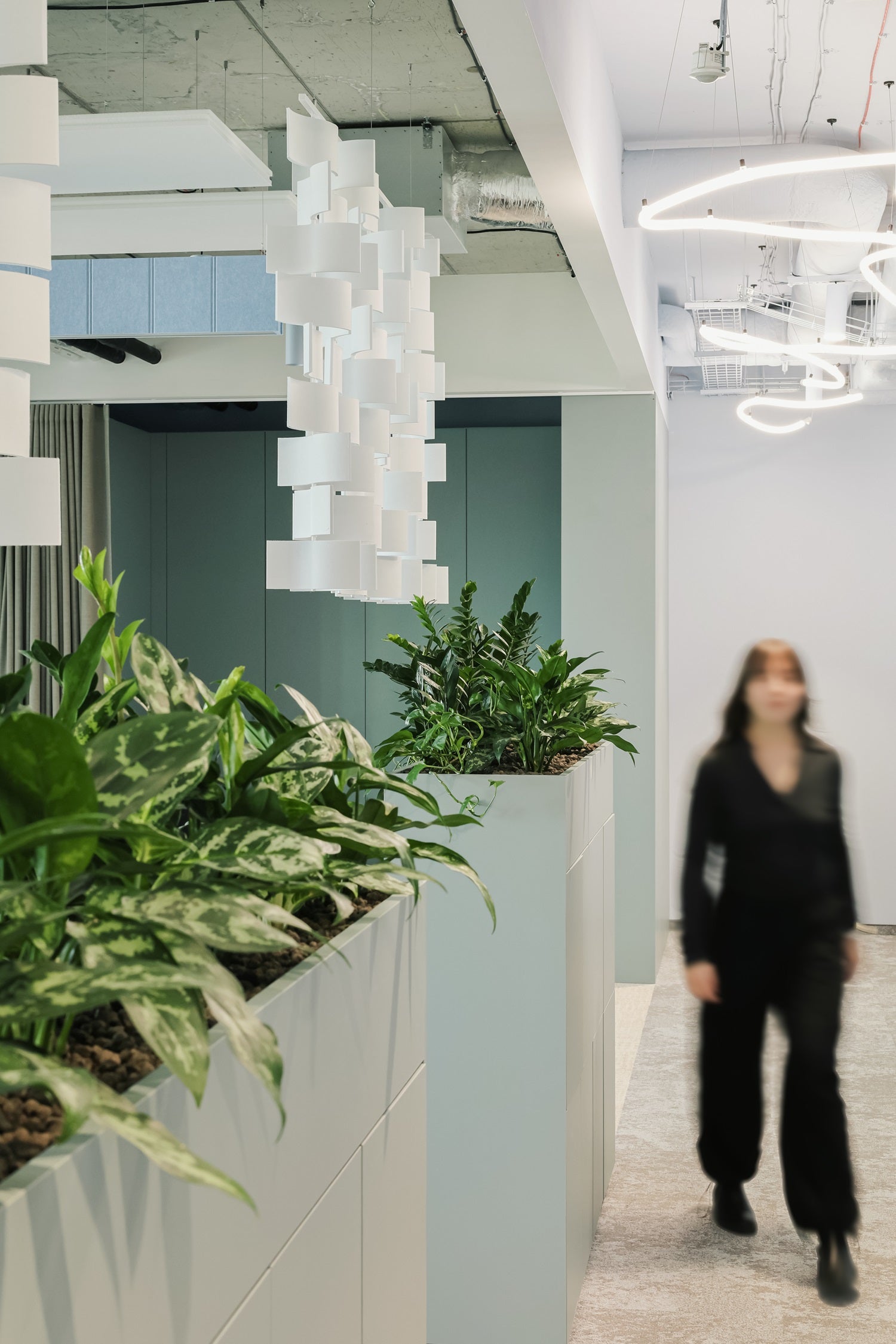 Lockery na rośliny w biurze