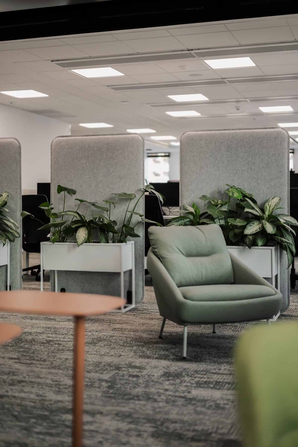 Rośliny przy panelach akustycznych w biurze klienta poufnego