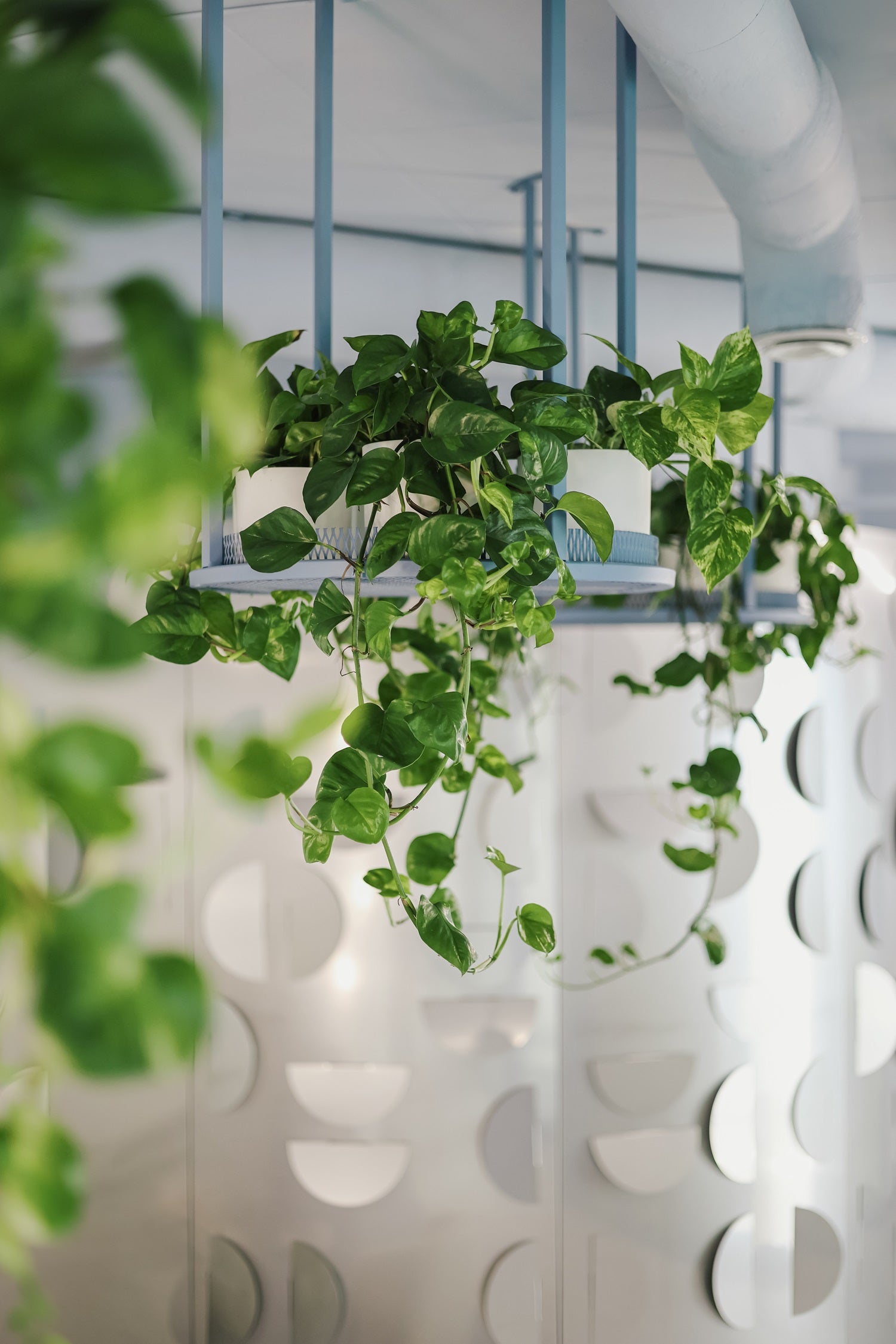 Stelaż wiszący na rośliny