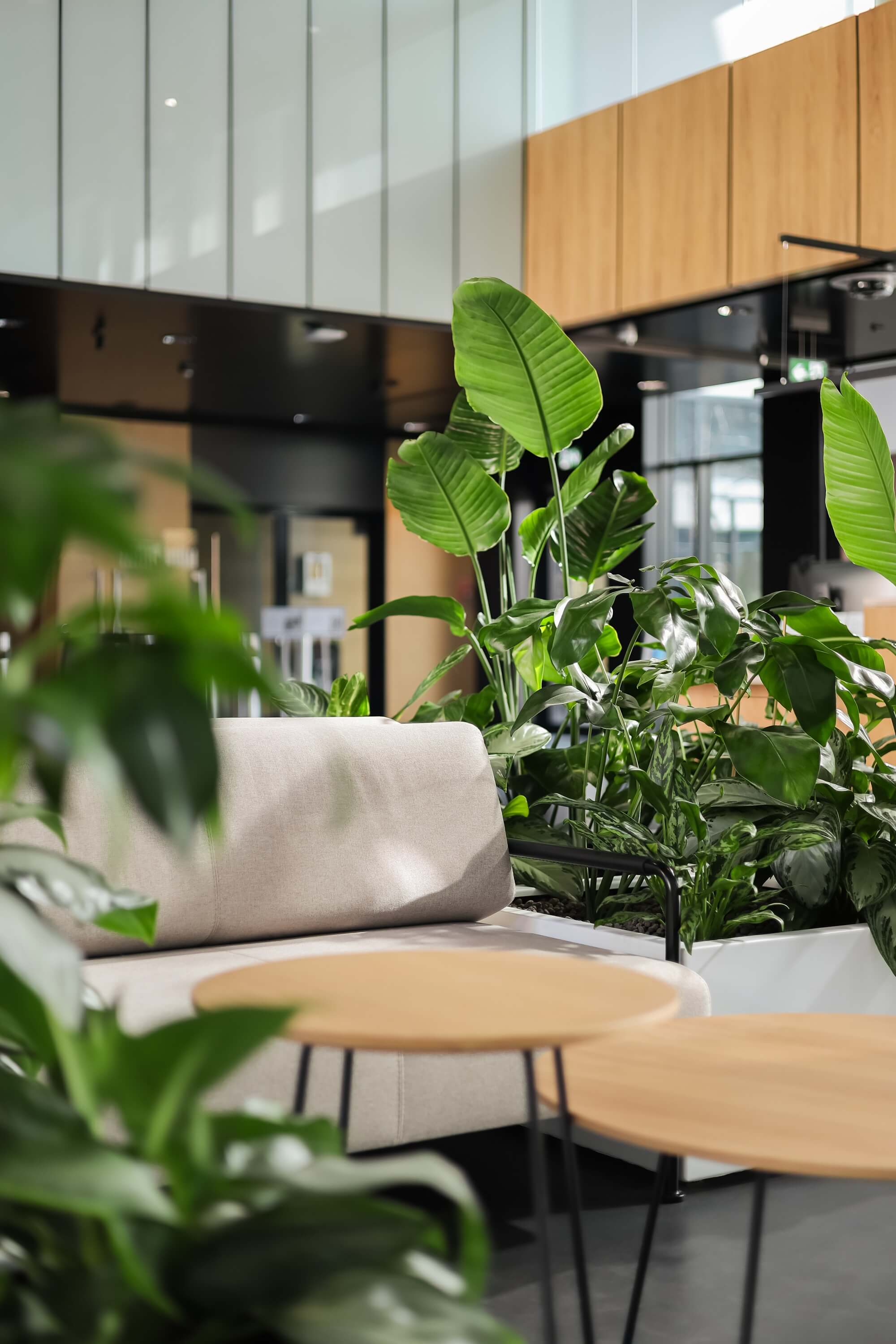 Aranżacja roślin w lobby
