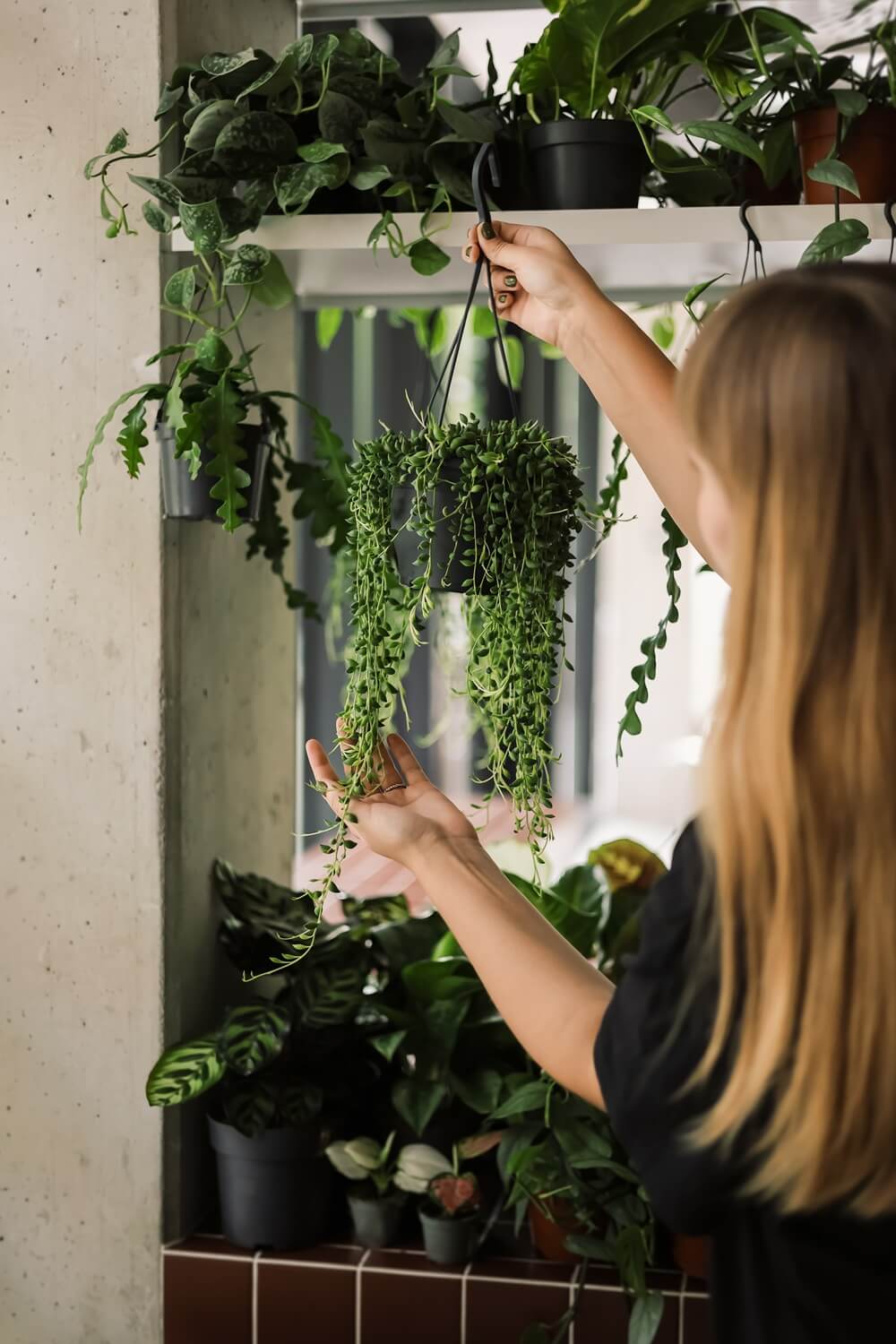 Jesienna i zimowa pielęgnacja roślin - 5 praktycznych porad