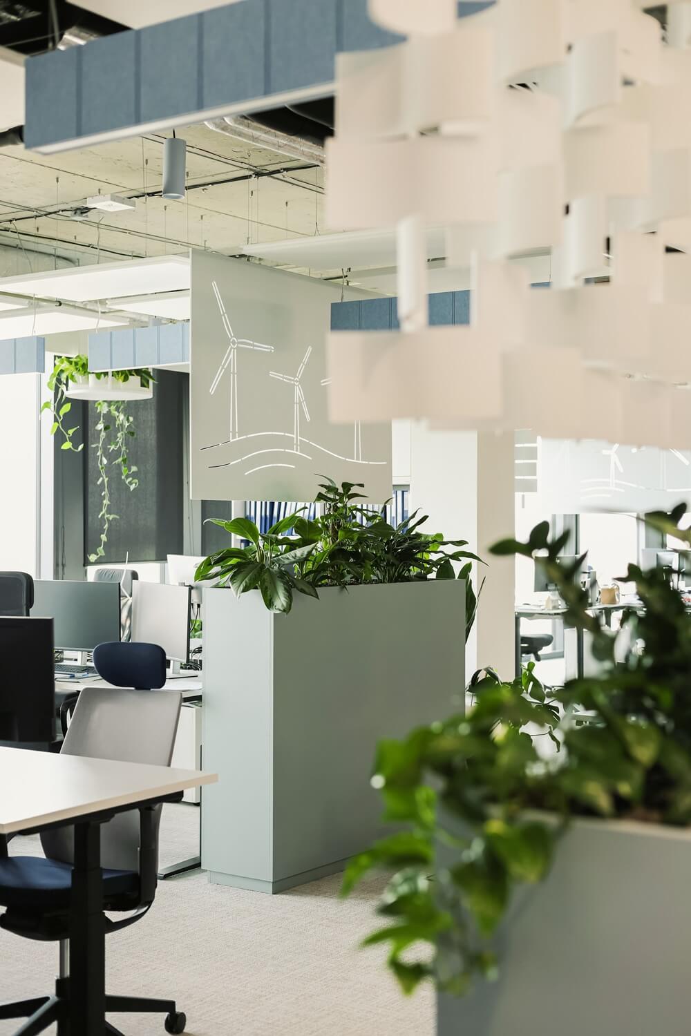 Rośliny w biurze Qair Polska SA we Wrocławiu 