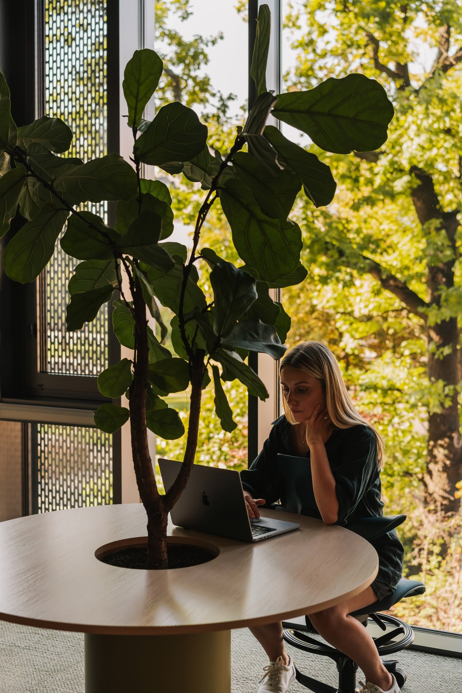 Jak wykorzystać rośliny do stworzenia modułowego biura?