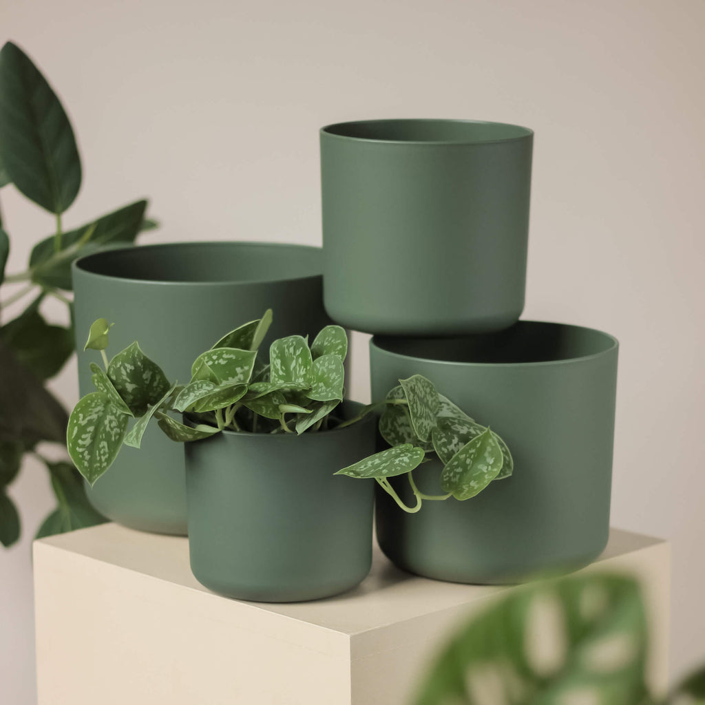 osłonka Elho® b.for soft • leaf green - Projekt Rośliny
