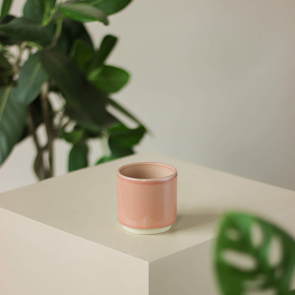 różowa szkliwiona osłonka • Ceramics Limburg - Projekt Rośliny