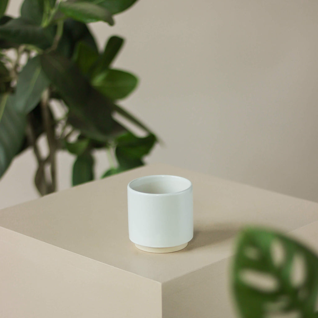 biała szkliwiona osłonka • Ceramics Limburg - Projekt Rośliny