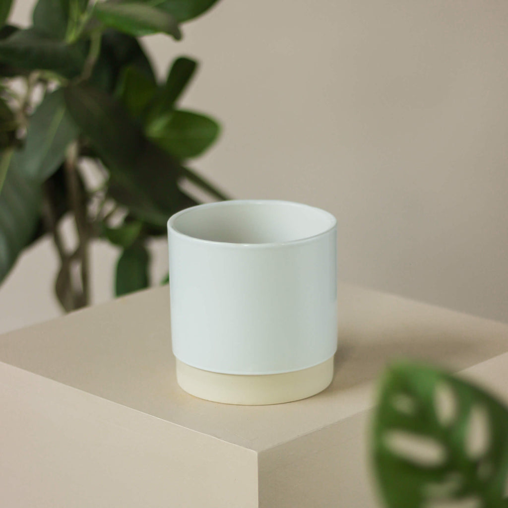 biała szkliwiona osłonka • Ceramics Limburg - Projekt Rośliny