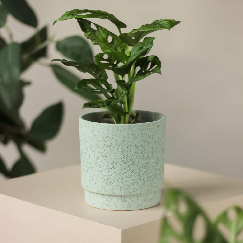 terakotowa osłonka z poblaskiem ⌀ 12 cm • Ceramics Limburg - Projekt Rośliny