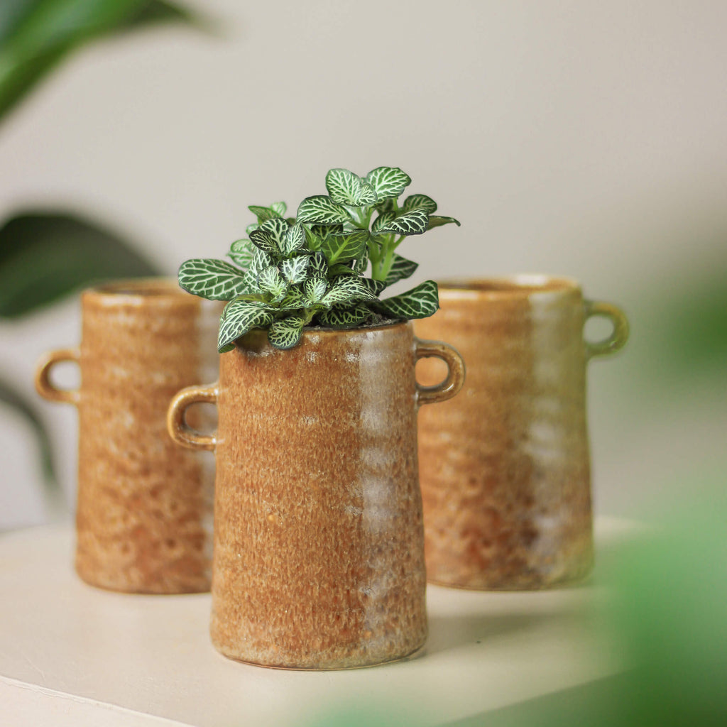 kamionkowy wazon z uszkami ⌀ 6 cm • Madam Stoltz - Projekt Rośliny