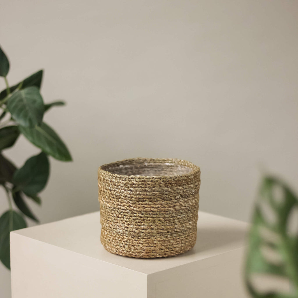 pleciona osłonka koszyczek • Ceramics Limburg - Projekt Rośliny
