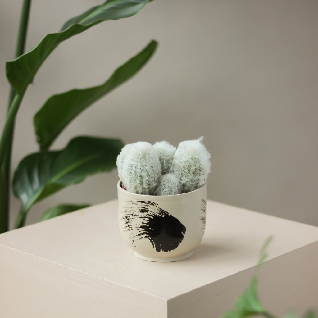 osłonka Kurayoshi II • rest ceramics - Projekt Rośliny