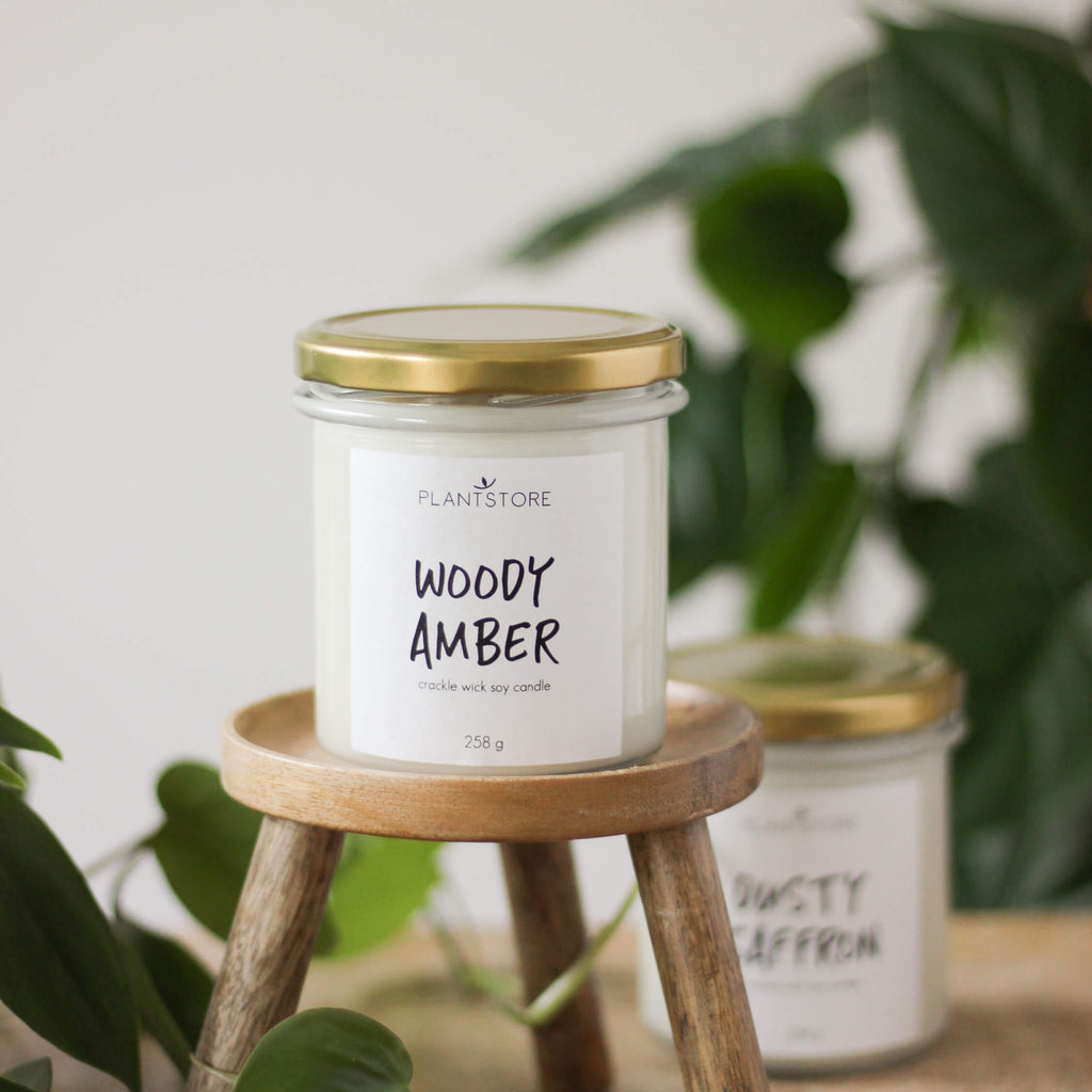świeca plantstore • woody amber - Projekt Rośliny
