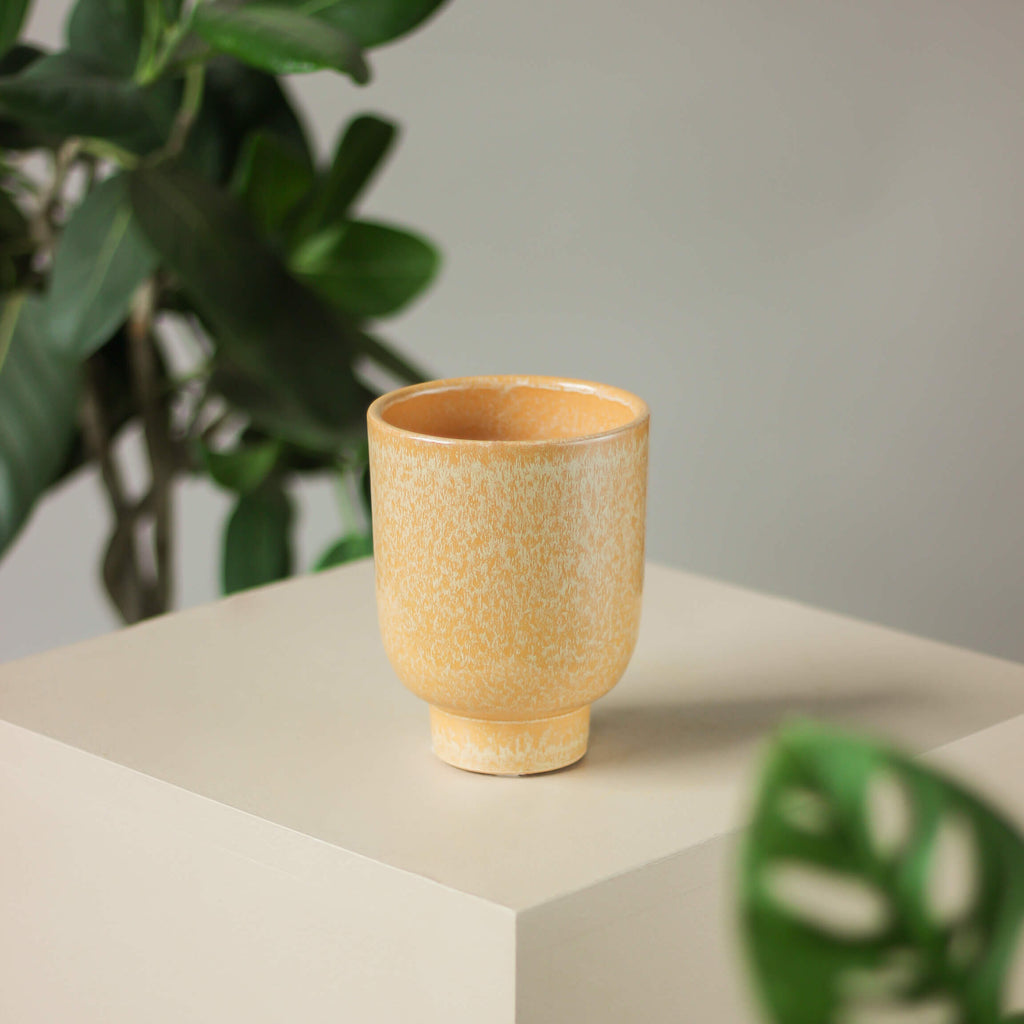 oranżowa osłonka na nóżce • Ceramics Limburg - Projekt Rośliny