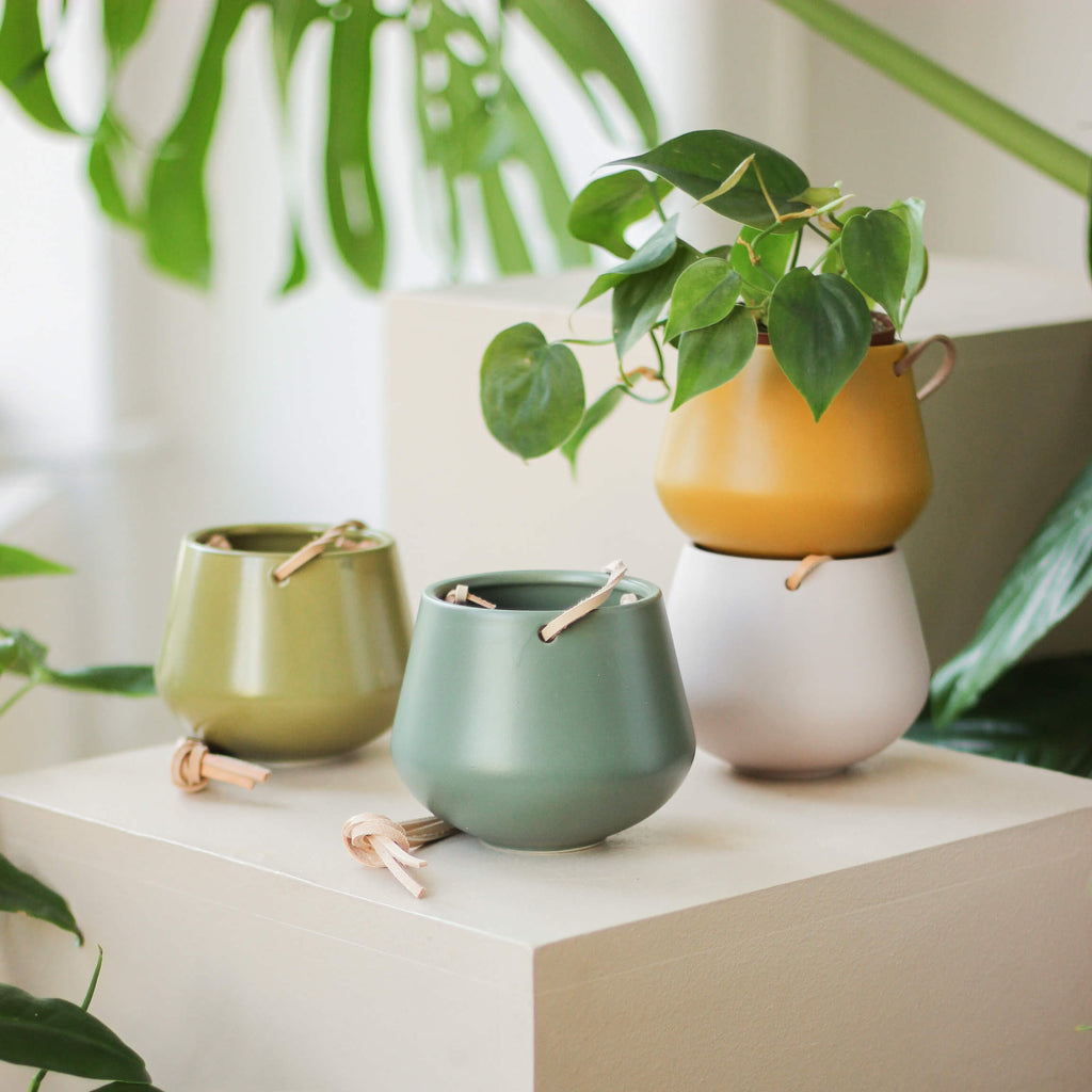 wisząca osłonka ceramiczna ⌀ 8 cm - Projekt Rośliny