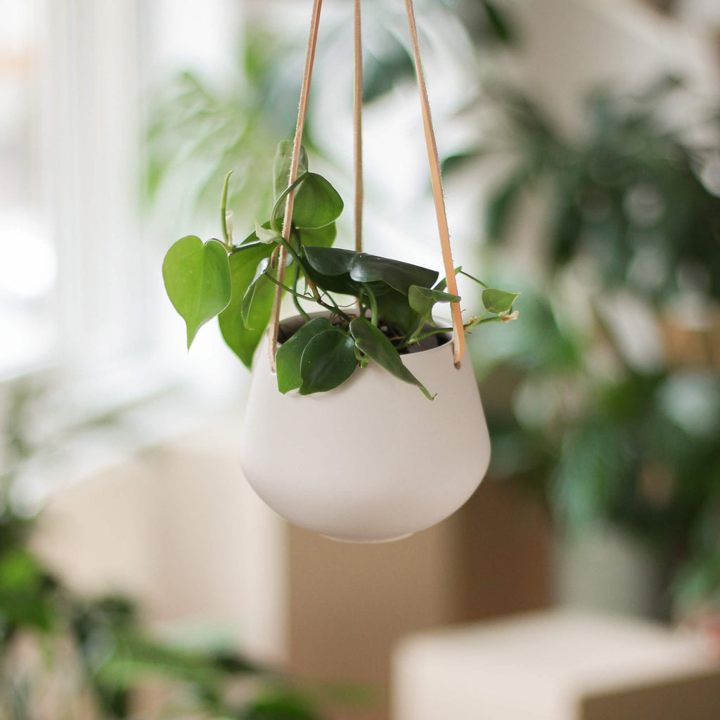 wisząca osłonka ceramiczna ⌀ 8 cm - Projekt Rośliny