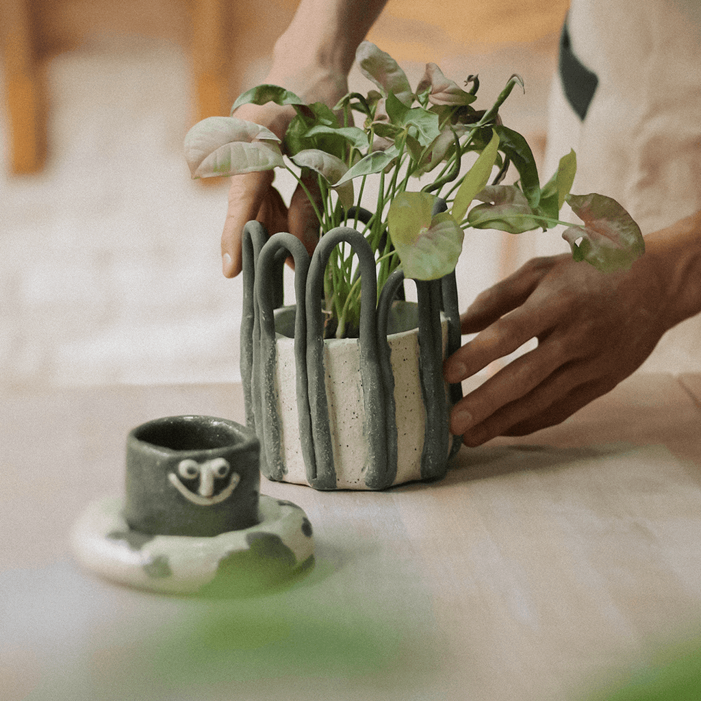 warsztaty ceramiczne • Zakwas Studio - Projekt Rośliny